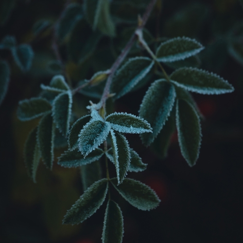 Photo #14095887