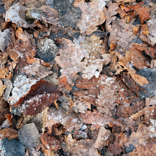 Photo #14096130