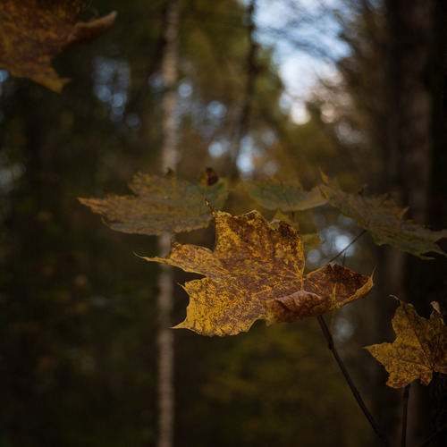 Photo #14096179