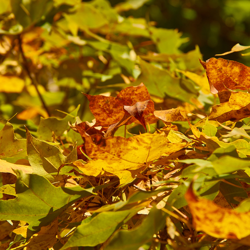 Photo #14096207