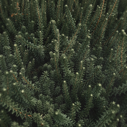 Photo #14096237