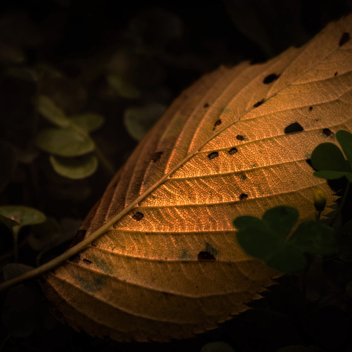 Photo #14096244