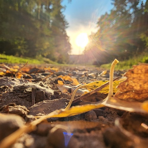 Photo #14096308