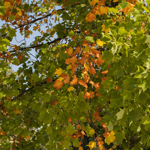 Photo #14096311