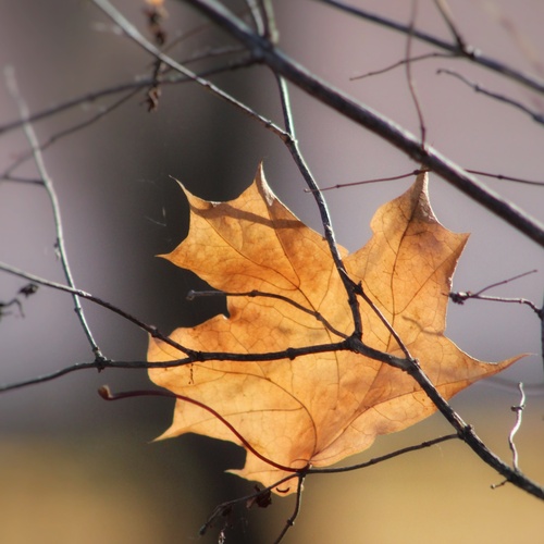 Photo #14096328