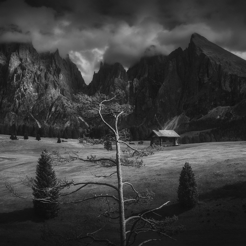 Photo #14096417