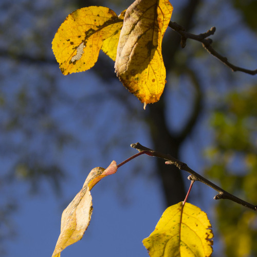 Photo #14096420