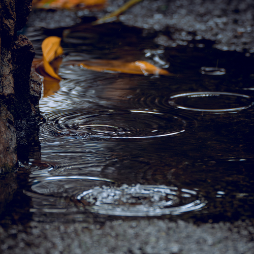 Photo #14096485