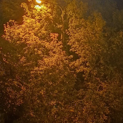 Photo #14096497