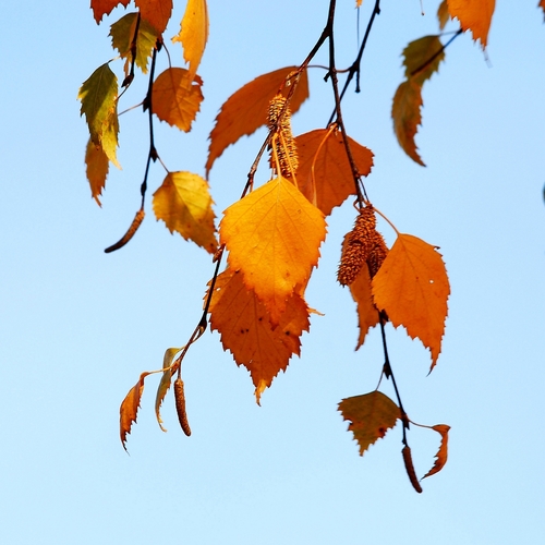 Photo #14096515