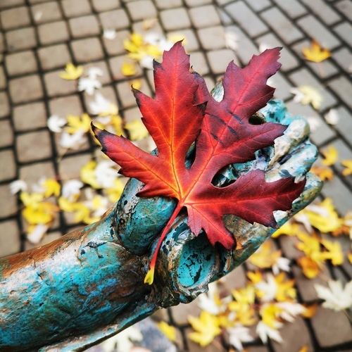 Photo #14096528