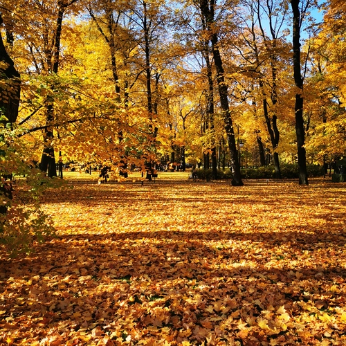 Photo #14096561