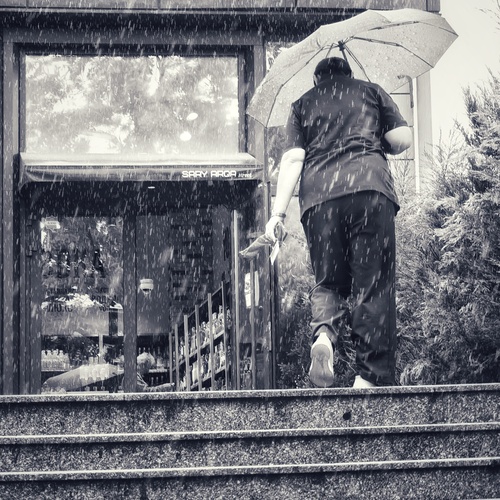 Photo #14096682