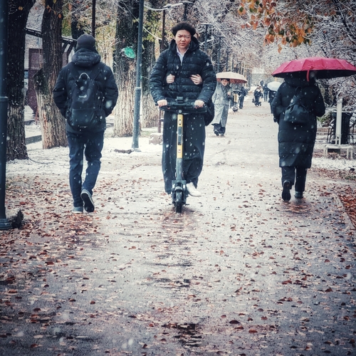 Photo #14096684
