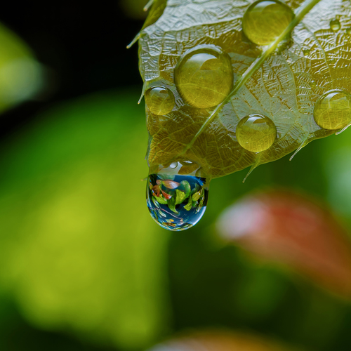 Photo #14096774