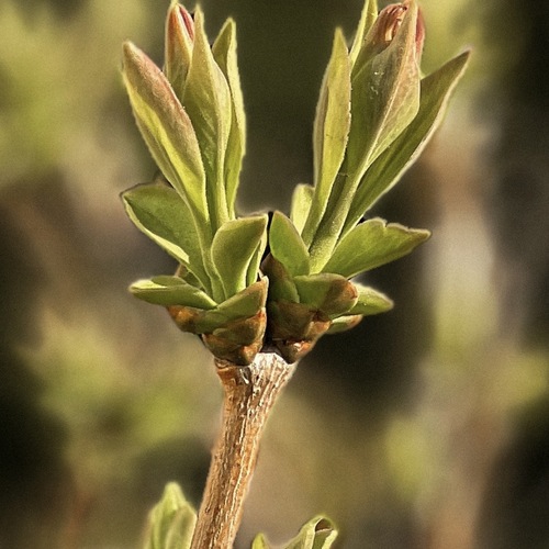Фотография #14096783