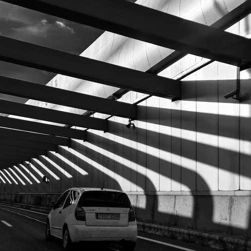 Photo #14096801