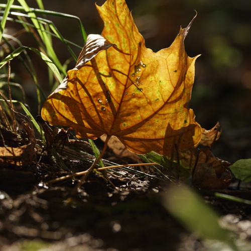 Photo #14096816