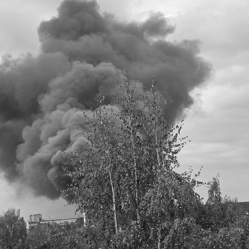 Photo #14096817