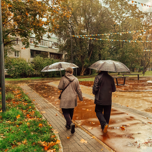 Photo #14096844