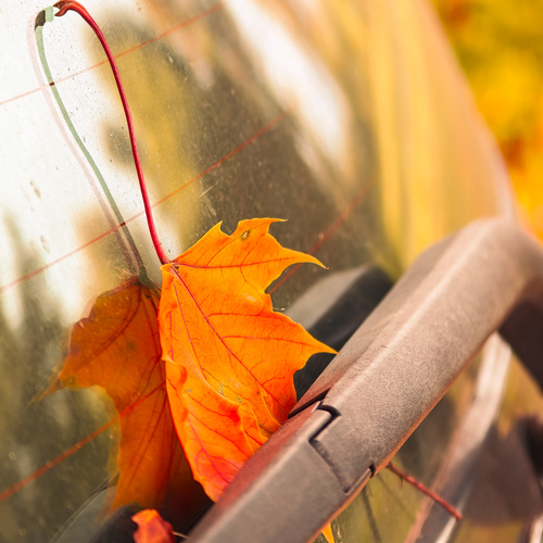 Photo #14096880