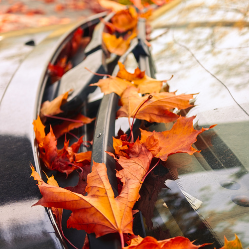 Photo #14096881