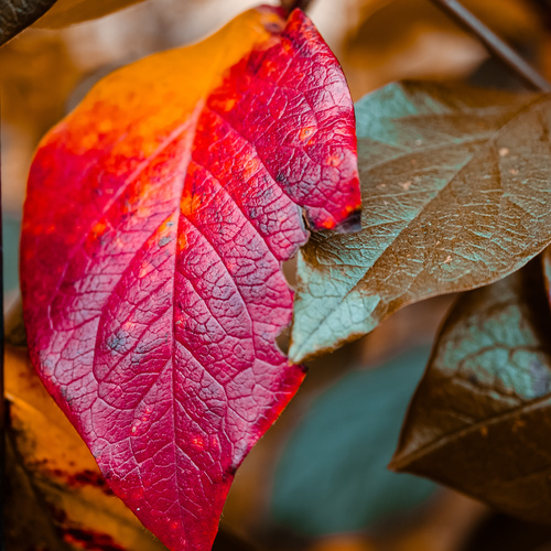Photo #14096882
