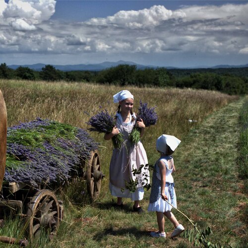 Photo #14097081