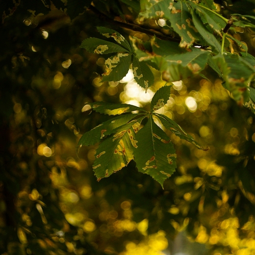 Photo #14097140