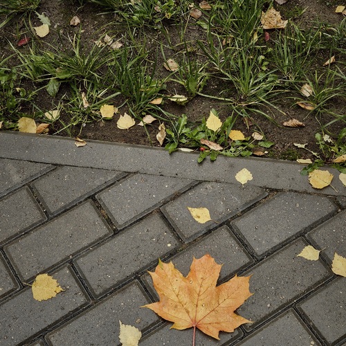 Photo #14097220