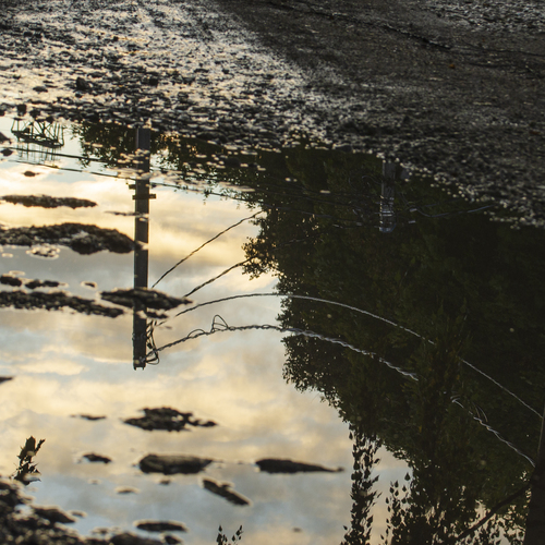 Photo #14097259