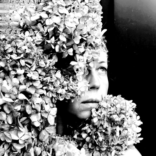 Photo #14097263