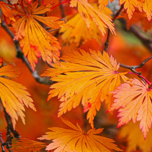 Photo #14097292