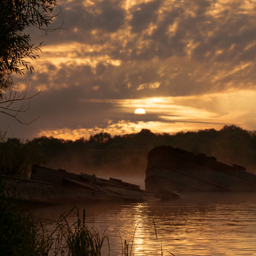 Photo #14097298