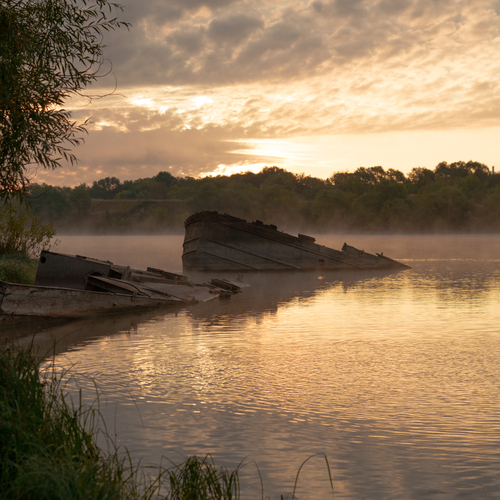 Photo #14097299