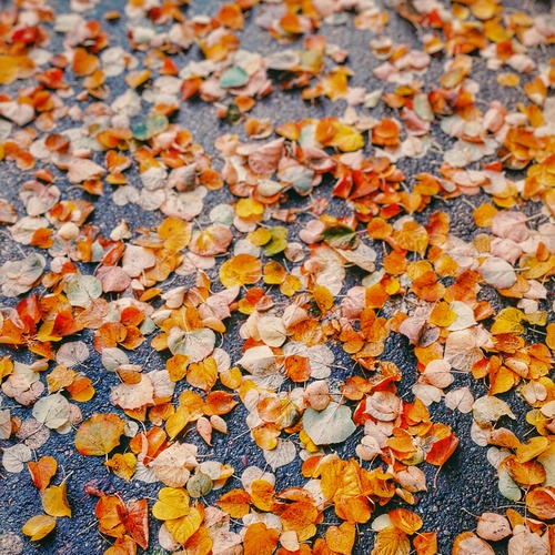 Photo #14097333