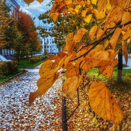 Photo #14097340