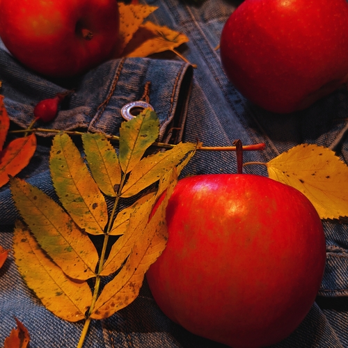 Photo #14097351