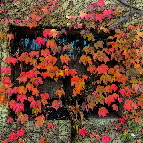 Photo #14097361