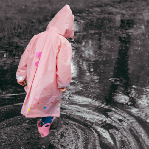 Photo #14097436