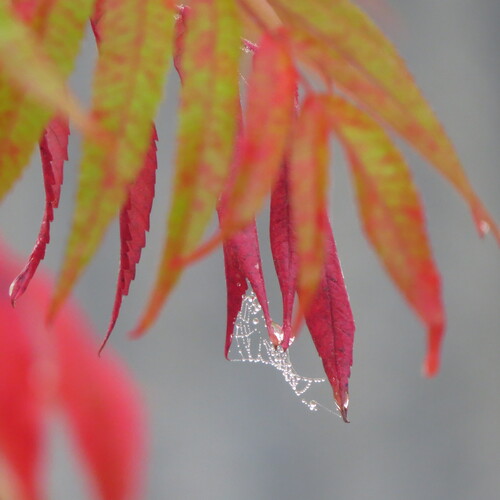 Photo #14097501