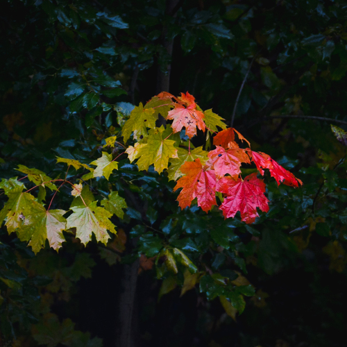 Photo #14097513