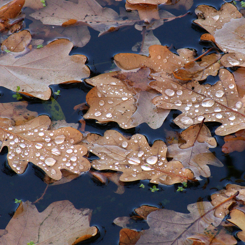 Photo #14097514