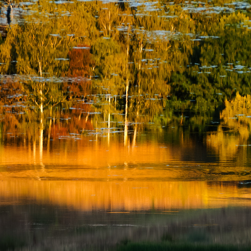 Photo #14097542