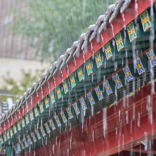 Photo #14097577