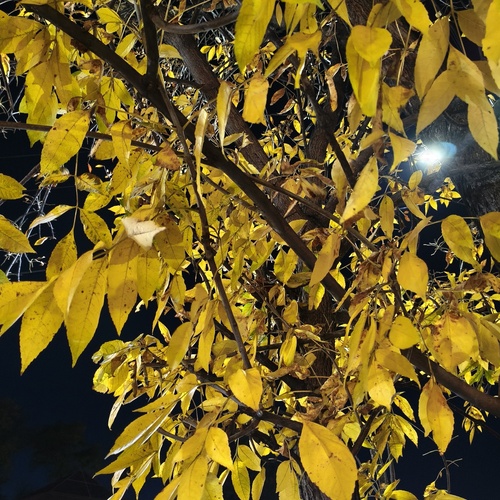 Photo #14097589