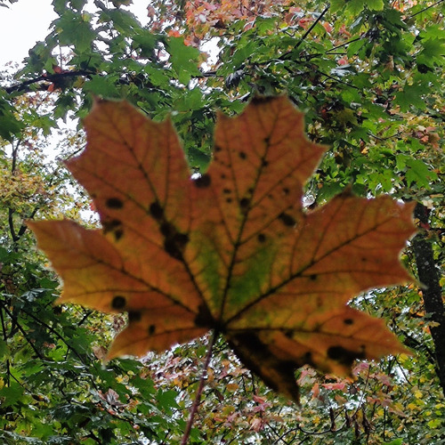 Photo #14097591