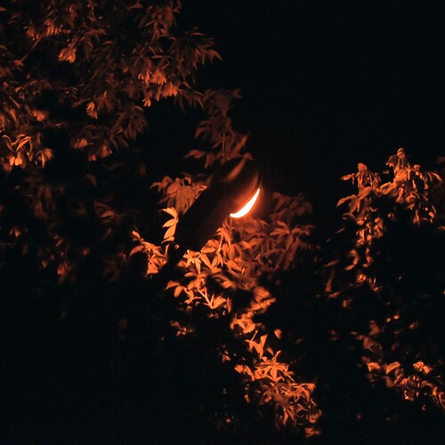 Photo #14097643