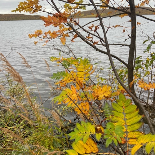 Photo #14097647