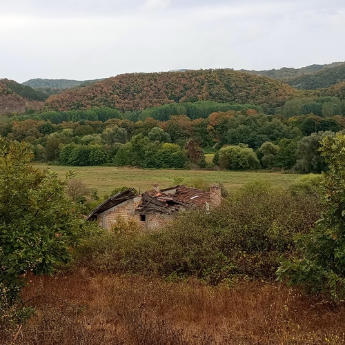 Photo #14097671